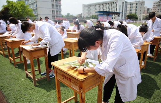 重庆市医药学校怎么样？好不好就业呢？_招生信息