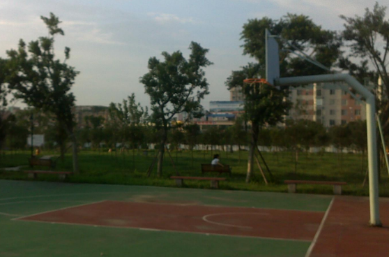 成都中医药大学附属医院针灸学校-龙泉校区简介录取分数线_招生信息