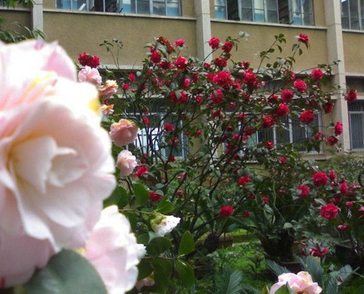 南充理工学校有哪些专业及什么专业好_招生信息