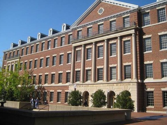 四川国际标榜职业学院有哪些专业及什么专业好_招生信息