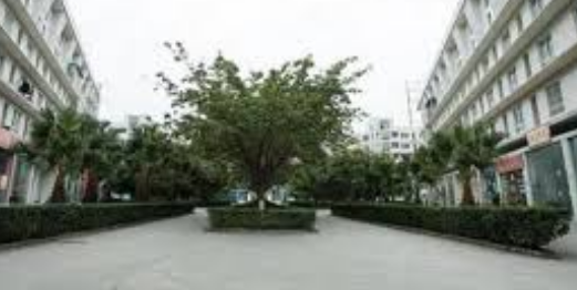 成都华西卫校青羊校区有哪些专业及什么专业好_招生信息