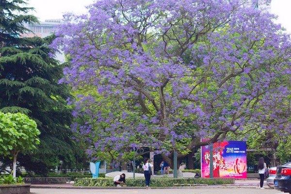 川北医学院简介老师QQ及电话_招生信息