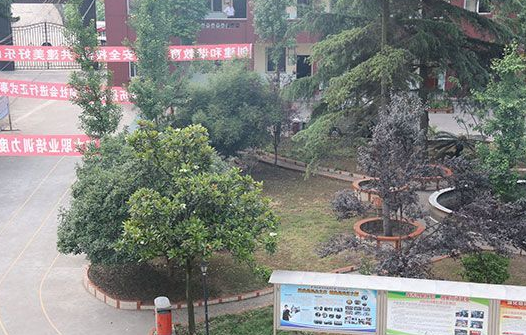 乐山工业电子学校寝室宿舍条件与学校食堂环境图片_招生信息