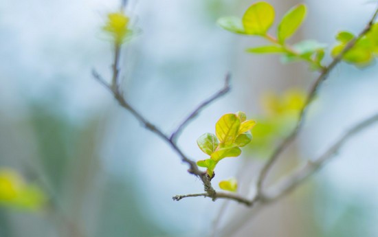 重庆医药科技学校简介录取分数线_招生信息