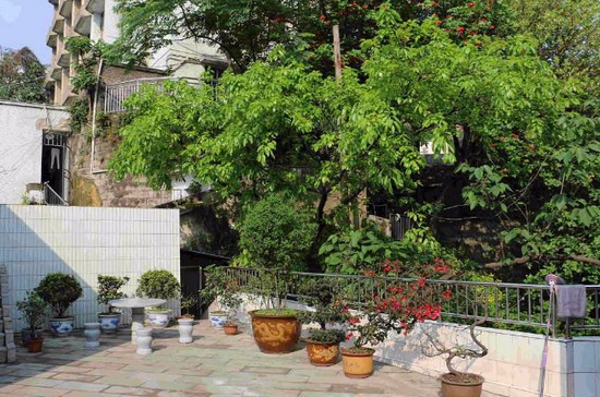 重庆医药经贸卫生学校简介及简介计划要求_招生信息