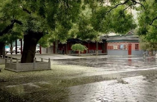 四川省内江医科学校简介及简介计划要求_招生信息