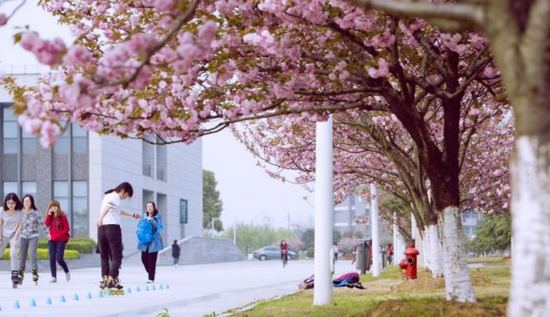 2019年中国药科大学怎么样_招生信息